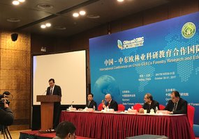 Tarptautinė konferencija Kinijoje - 1