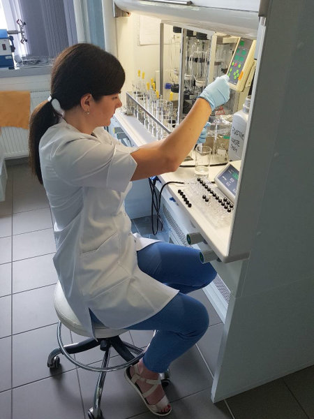 Junior Researcher, PhD student Karolina Barčauskaitė’s internship in Czech Republic
