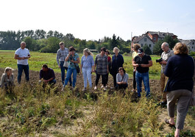 Apie pupinių augalų tyrimus supažindinti mokslininkai ir ūkininkai iš Latvijos  - 1