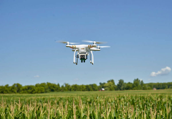 Nepilotuojamos skraidyklės vis plačiau naudojamos žemės ūkio tyrimuose
