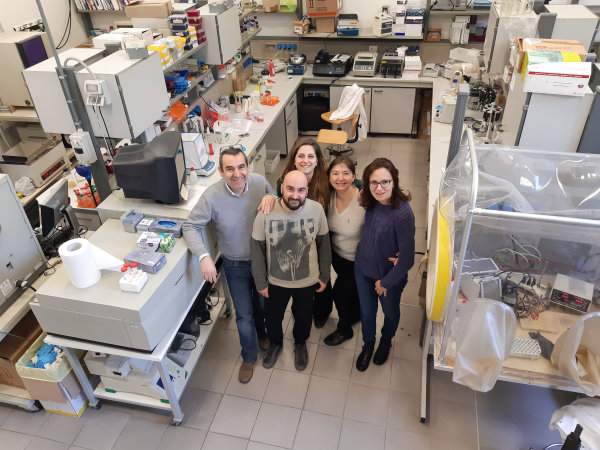 New opportunities for research of microorganisms are opening after internship in Italy