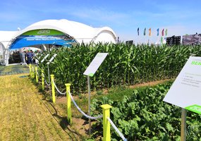 Startavo žemės ūkio technologijų paroda Agrovizija 2019 - 20