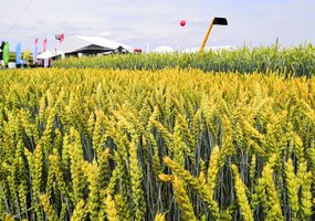 Startavo žemės ūkio technologijų paroda Agrovizija 2019 - 36