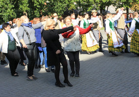 Akcija „Visa Lietuva šoka 2019“ nutrepsėjo ir per LAMMC Žemdirbystės institutą - 12