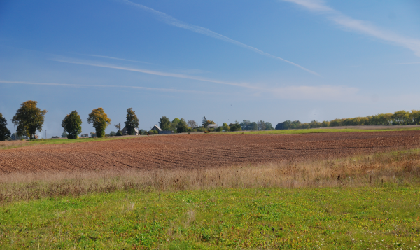 Agrocheminių savybių pokyčiai Lietuvos dirvožemiuose