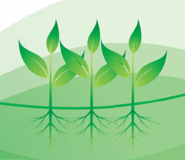 Konferencija „Žaliasis kursas – augalų mityba ir tręšimo mažinimo aspektai“
