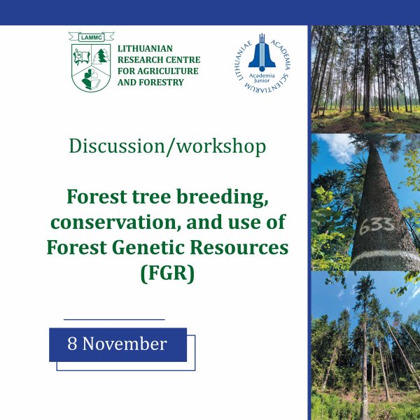 Discussion/workshop “Forest tree breeding, conservation, and use of Forest Genetic Resources (FGR)”