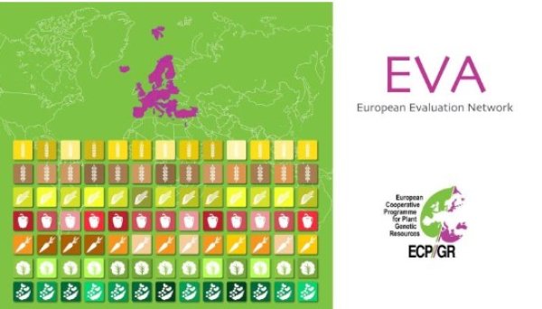 Video of European Evaluation Network